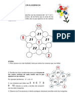 Flor Algebraica PDF