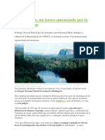 Chiribiquete, Un Tesoro Amenazado Por La Deforestación..