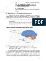 Elementos de neuroanatomía para la neuropsicología.pdf