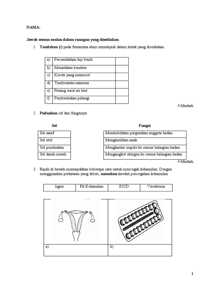 Tugasan Sains Tingkatan 1  PDF
