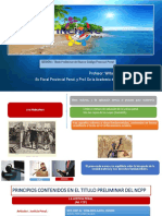 Principios Contenidos en El Titulo Preliminar NCPP - Incapyc - Modulo I - NCPP PDF