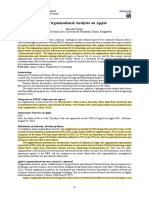 An Organizational Analysis On Apple Tasnim - PDF - Caso 2