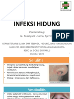 Infeksi Hidung