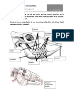 Cronometria 2