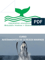 Curso Avistamiento Cetáceos Clase 1 y 2