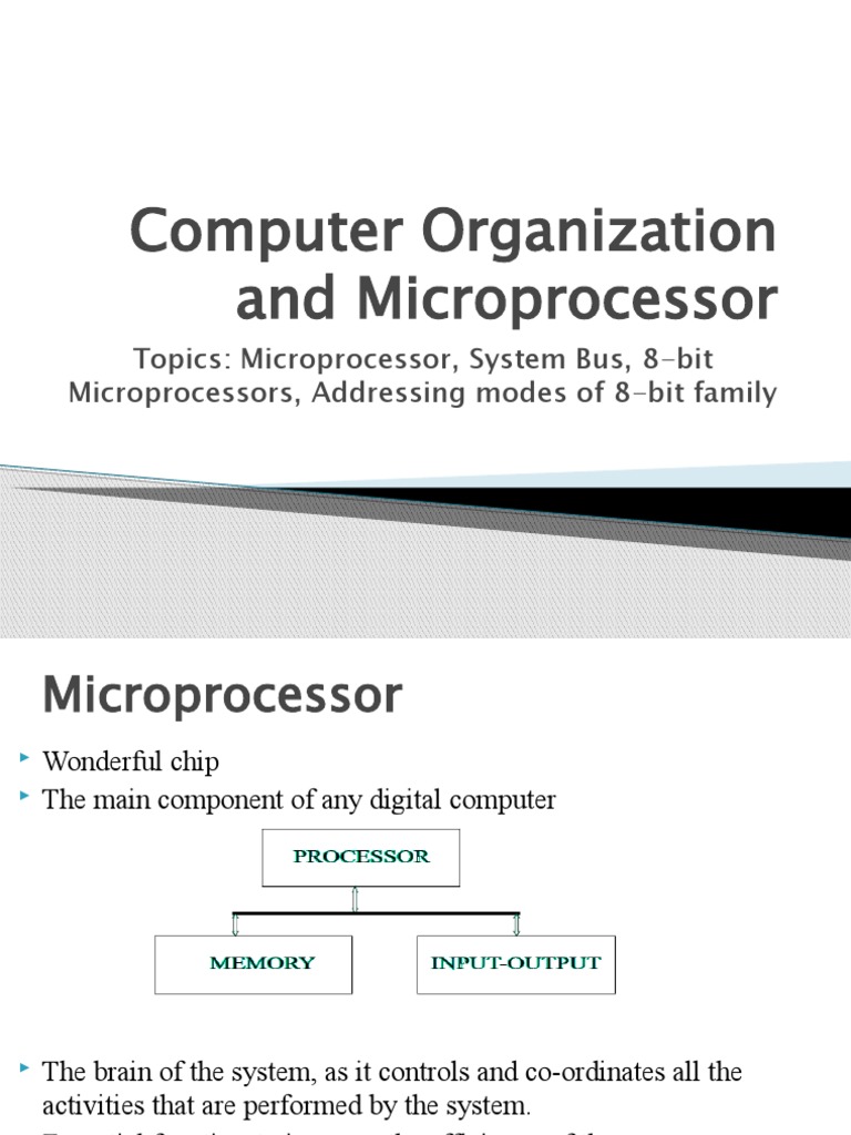 Computer Organization and Microprocessor-P1 | PDF | Central Processing ...