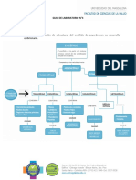 Guia de Laboratorio N°4 Encéfalo