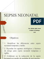Sepsis Neonatal: Causas, Diagnóstico y Tratamiento