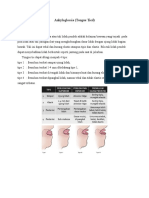 Ankyloglossia