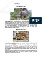 PENYEBARAN FAUNA DI INDONESIA - Copy