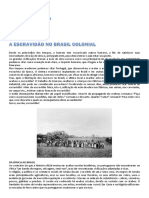 silo.tips_o-negro-na-sociedade-aucareira.pdf