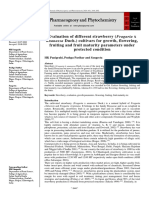 Evaluation of Different Strawberry (Fragaria X Fruiting and Fruit Maturity Parameters Under Protected Condition