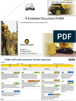1.1 A Puma (FMC)