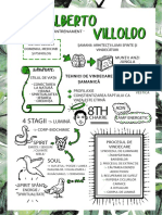 Villoldo Alberto - Antrenament Schematic