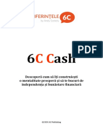 Manual 6C Cash.pdf