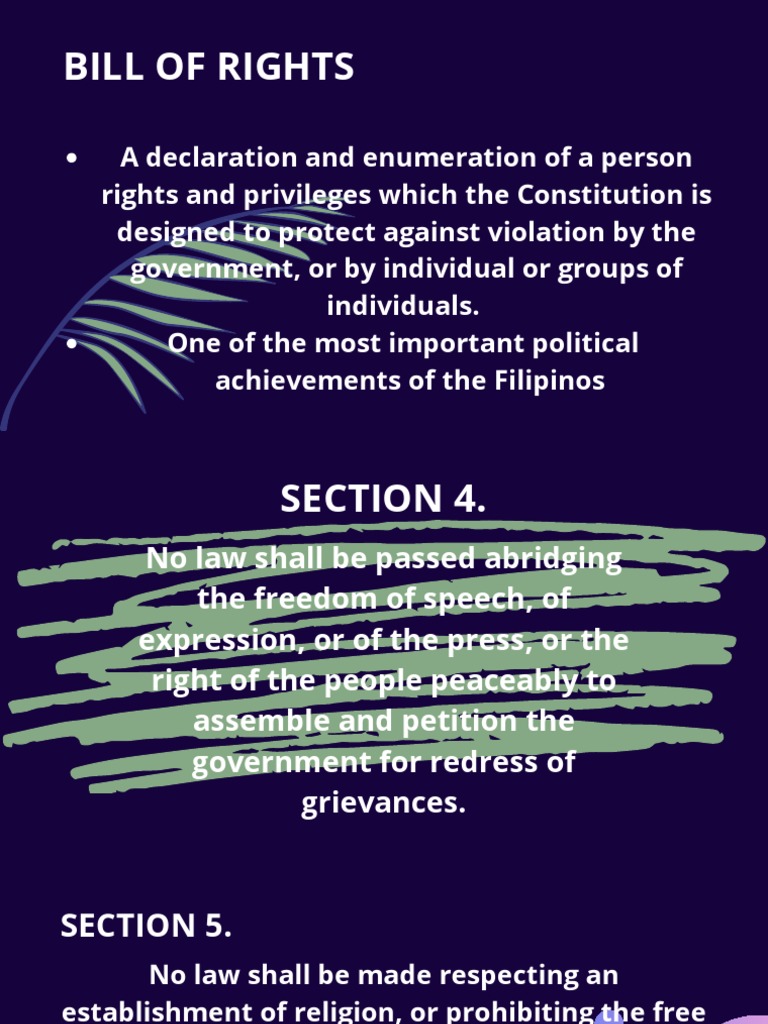 BILL OF RIGHT MEANING DEFINITION visual data 5