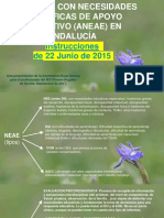 conceptosbsicosneaeandaluca2017-porrosasantos-170917093036.pdf