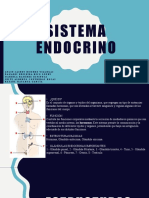 Sistema Endocrino-Presentación