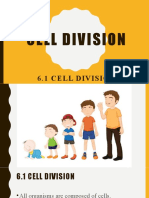 6.1 Cell Division
