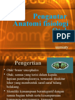 1.anatomi Fisiologi Otak