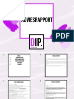 Adviesrapport DIP