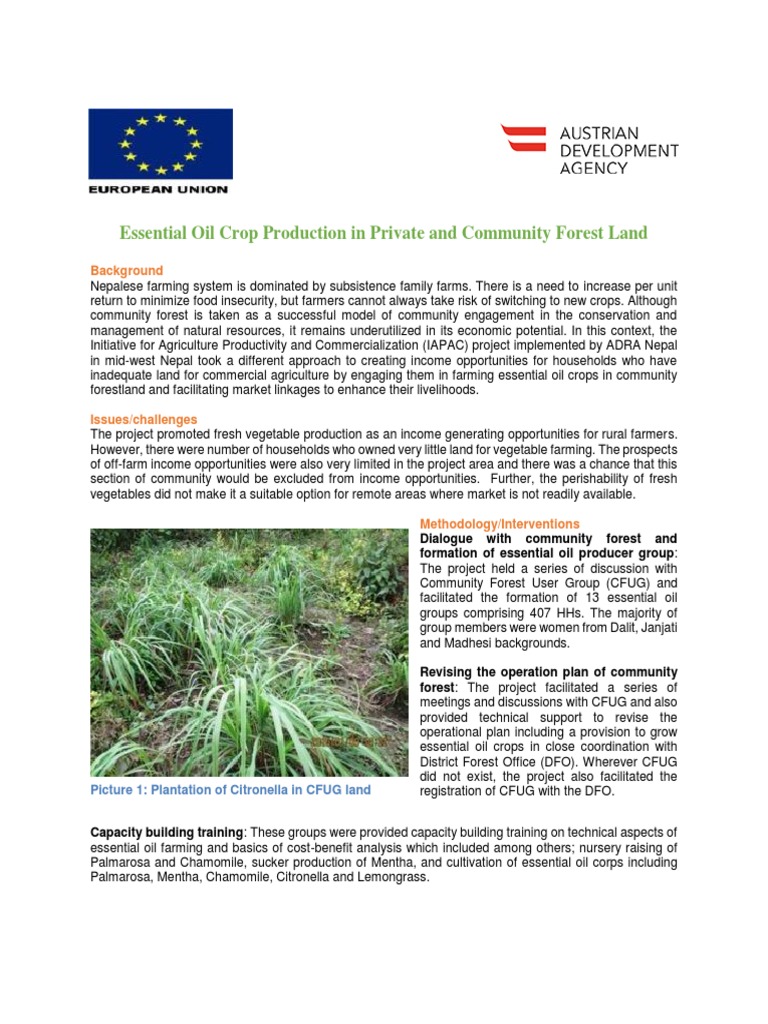 Essential Oil Crops in Community and Private Land PDF Agriculture