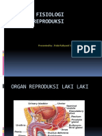 ANATOMI FISIOLOGI Sistem Reproduksi