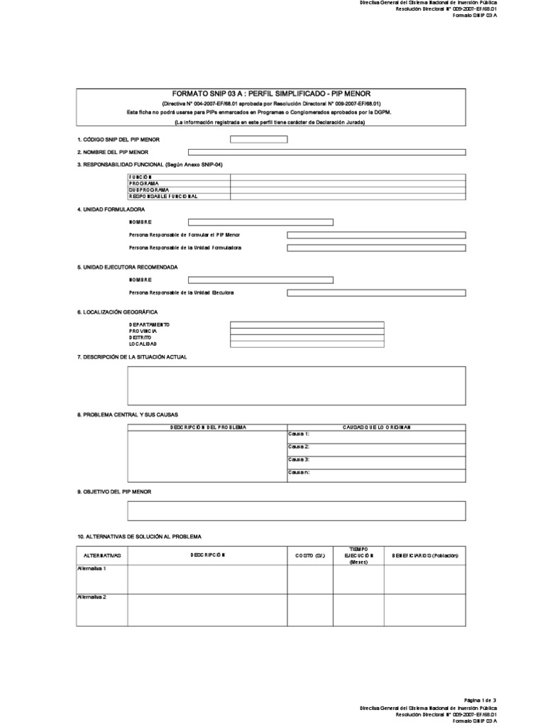 Formato - Snip Pip Menor para Anglo American | PDF
