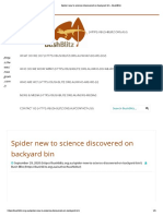 Spider New To Science Discovered On Backyard Bin - BushBlitz