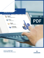 D353020X012 PRV2SIZE Brochure PDF
