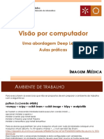 Deep Learning PL Aula2 MLP Imagem