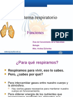 sistema respiratorio intercambio.pps