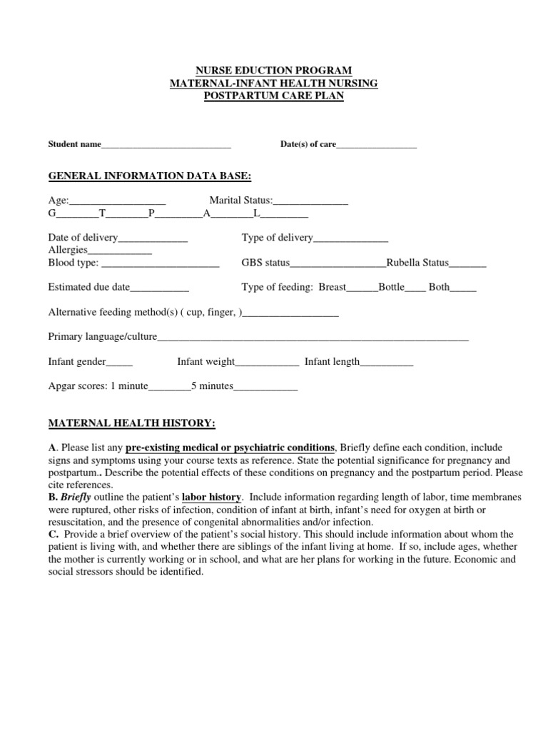 Maternity Care Plan Template 1_21_09 Childbirth Medical Diagnosis