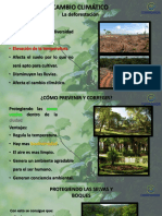 Cambio Climatico y Deforestacion PDF