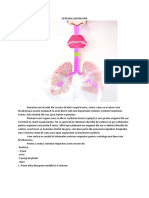 SISTEMUL RESPIRATOR-activitate Practica