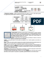 3 LEYES DE LOS GASES ESTADOS DE LA MATERIA.doc