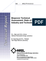 NREL 33123 - Bain, Amos - Biopower Technical Assessment PDF