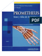 TOMO 1 - Prometheus, Texto y Atlas de Anatomia - Tomo 1 Anatomia General y Aparato Locomotor - Schünke1° Ed.pdf