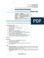 Protocolo de Elaboración Informes