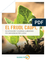 El Frijol Caupí,: Recuperación Y Seguridad Alimentaria Pos Emergencias Por Lluvias