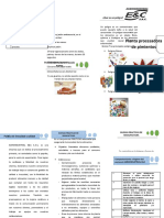 Triptico Buenas Practicas de Manufactiura e Higiene