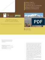 Portada Antofagasta PDF