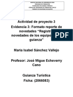 Evidencia 3 Planeacion Formato de Reporte