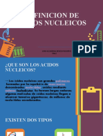 Definicion de Acidos Nucleicos