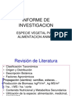 Revision Literatura Informe