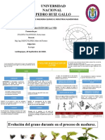 Ciclo de Maduración de La Vid