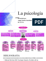 Mapa Conceptual Sobre La Psicologia Social