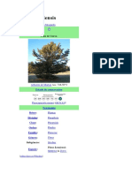 Pinus 02 Pinus koraiensis.pdf