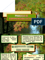 Documento para Realizar Cuadro Sinóptico PDF