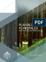 Libro Plantaciones PDF